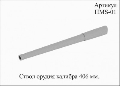 HMS 1.jpg