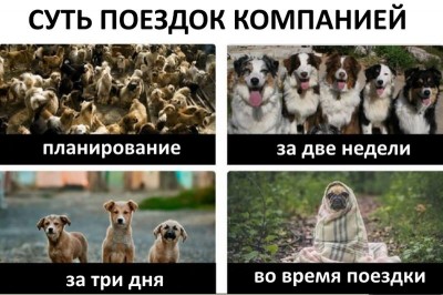 скачанные_файлы.jpg