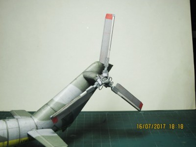 003.JPG