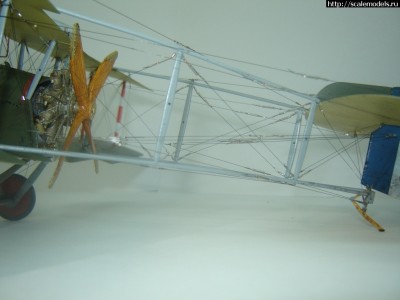 1329773516_23.jpg