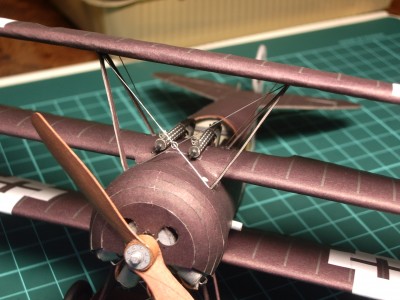 19402461.jpg