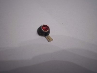 P2160002.JPG