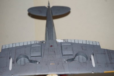 21534053.jpg