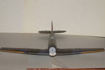 21534051.jpg